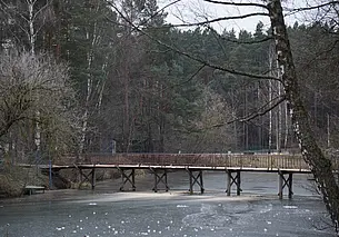 Пешеходный мост в Печерском лесопарке будет обновлен