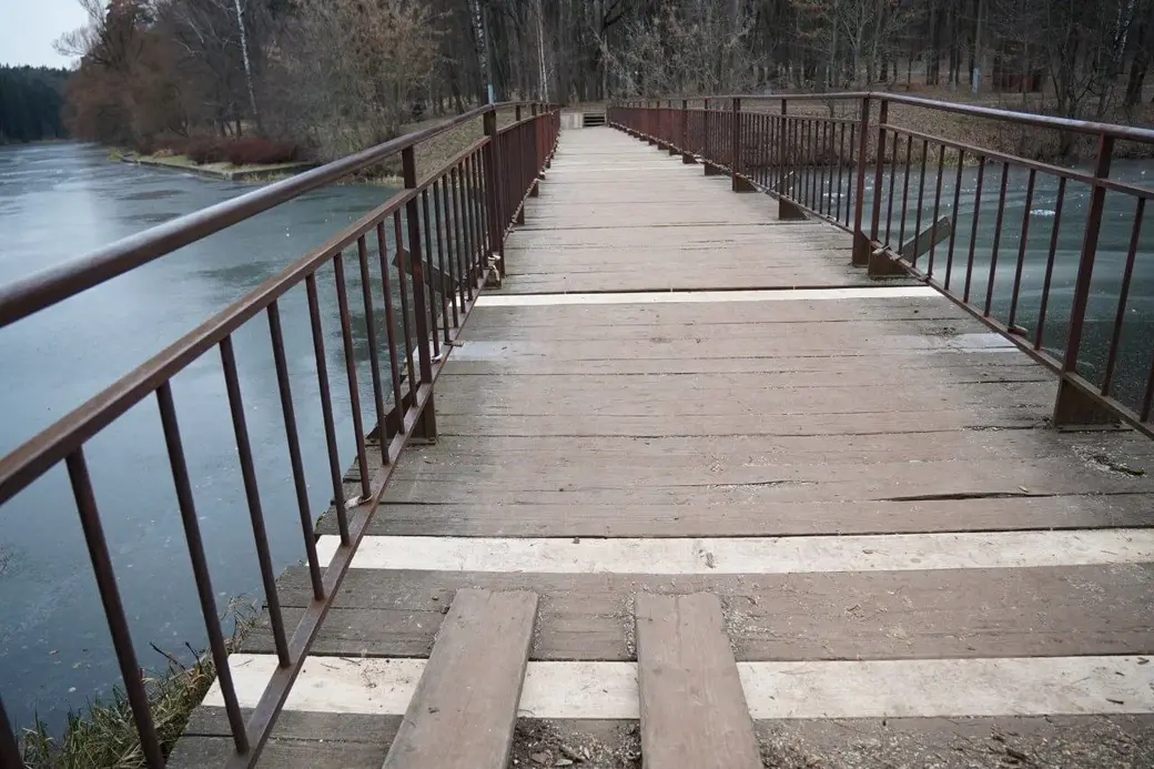 Декабрь 2024 г. Могилев, Печерский лесопарк.