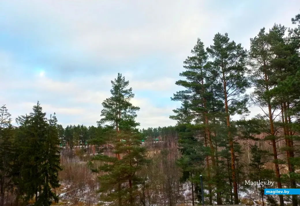 Декабрь, 2024, Могилев. Улица Сосновая – Тагильский переулок.