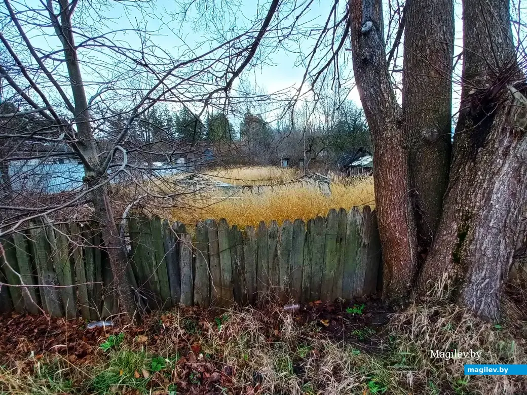 Декабрь, 2024, Могилев. Улица Сосновая – Тагильский переулок.