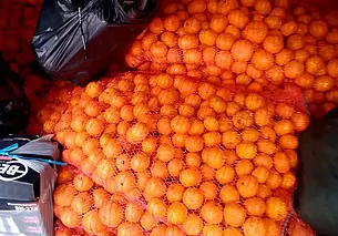 Российская таможня не пропустила в Беларусь крупную партию мандаринов, лимонов и апельсинов