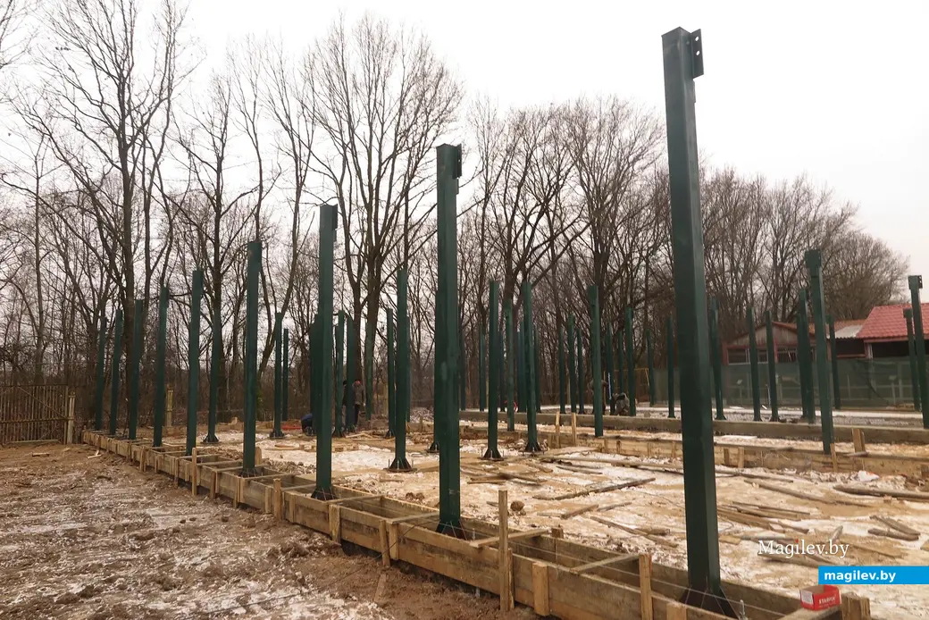 Декабрь 2024 г. Могилевский район, Буйничи, зоосад. Строительство новых вольеров.