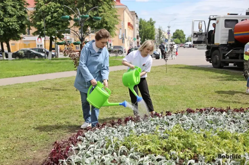 Бобруйск, 31 мая 2025 года. Новая клумба на пересечении улиц Минская и Октябрьская.