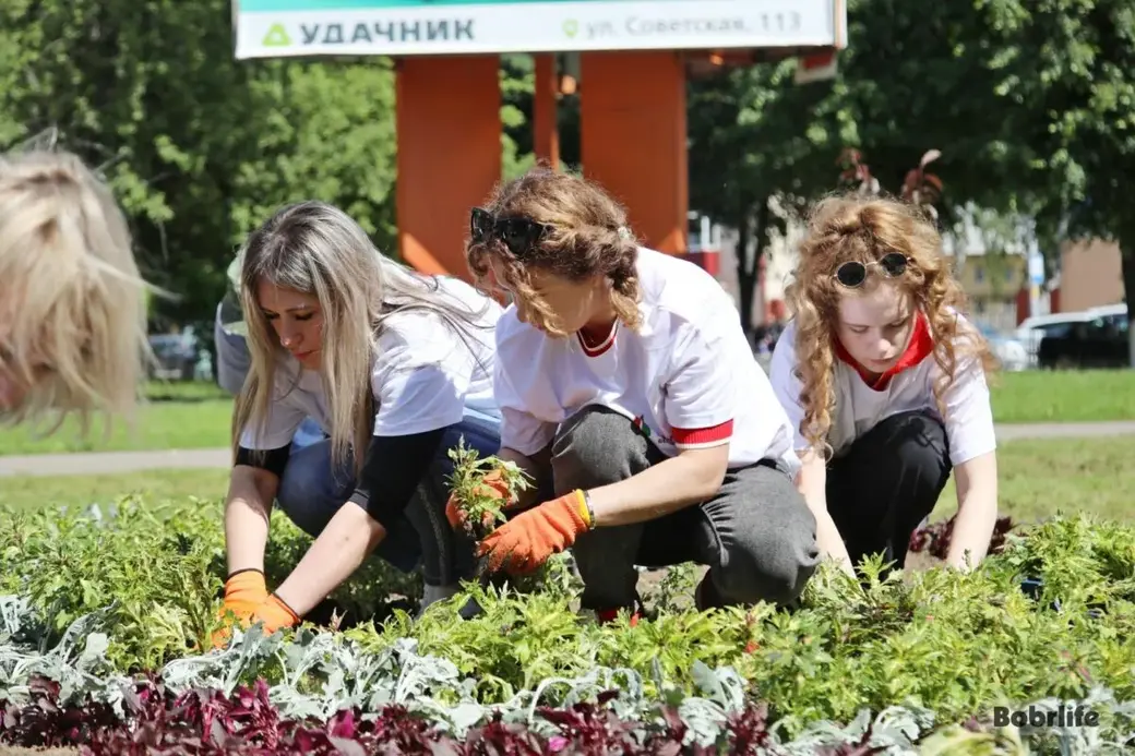 Бобруйск, 31 мая 2025 года. Новая клумба на пересечении улиц Минская и Октябрьская.