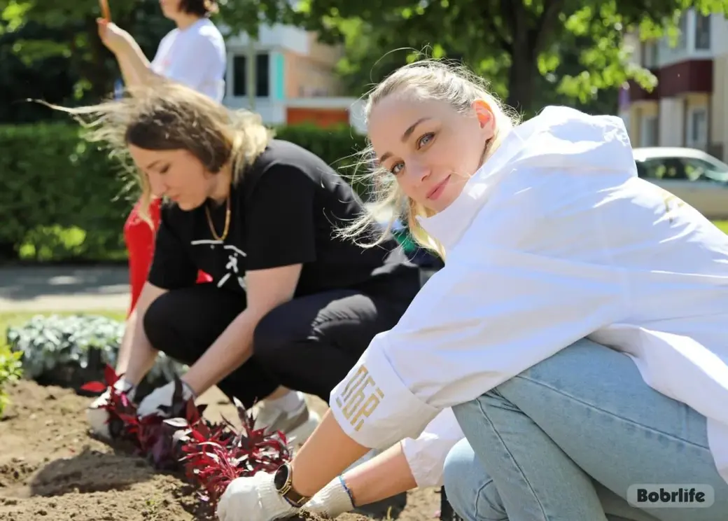 Бобруйск, 31 мая 2025 года. Новая клумба на пересечении улиц Минская и Октябрьская.