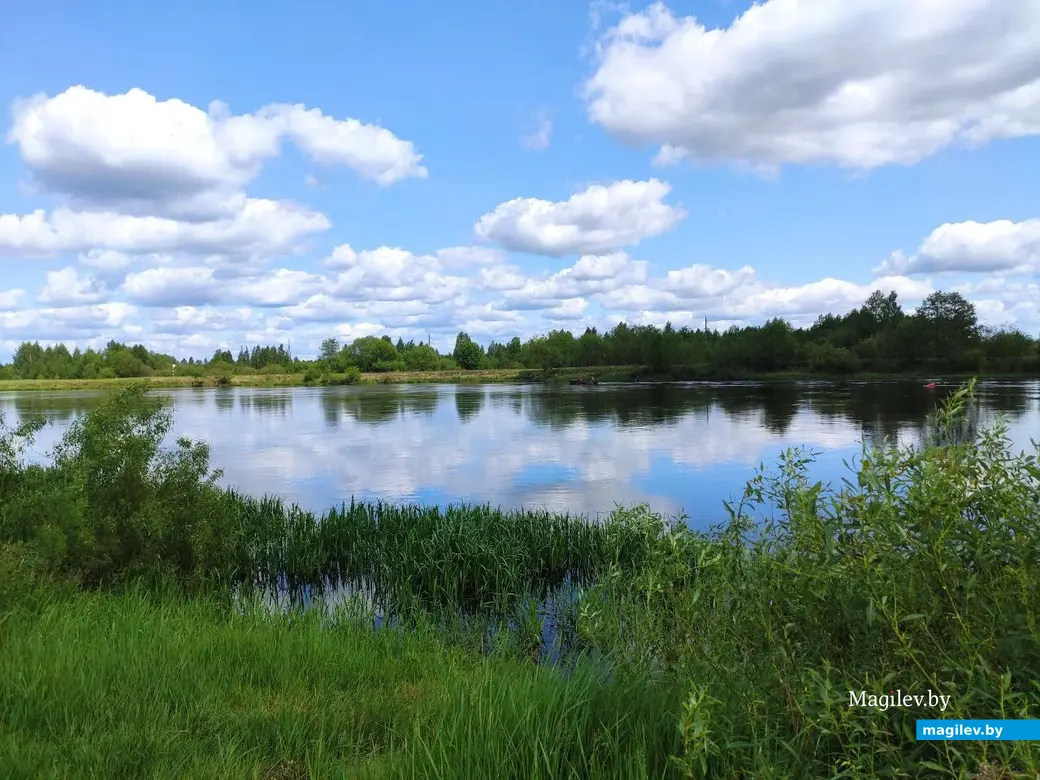 Бобруйск, 1 июня 2025 года. Первый день лета на Луковой горе.