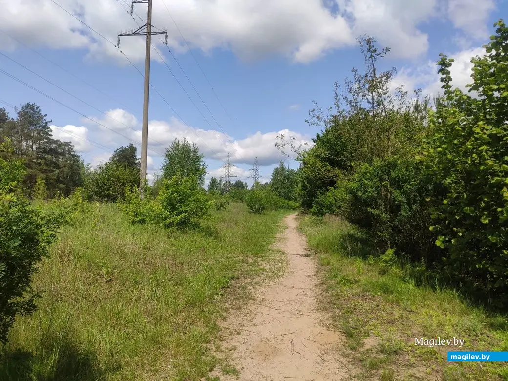 Бобруйск, 1 июня 2025 года. Первый день лета на Луковой горе.