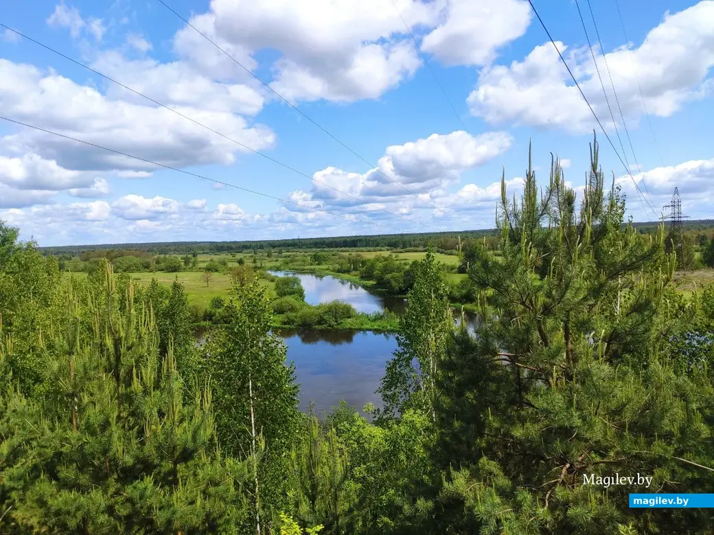 Бобруйск, 1 июня 2025 года. Первый день лета на Луковой горе.