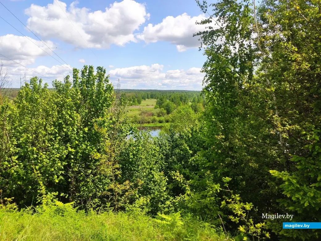 Бобруйск, 1 июня 2025 года. Первый день лета на Луковой горе.