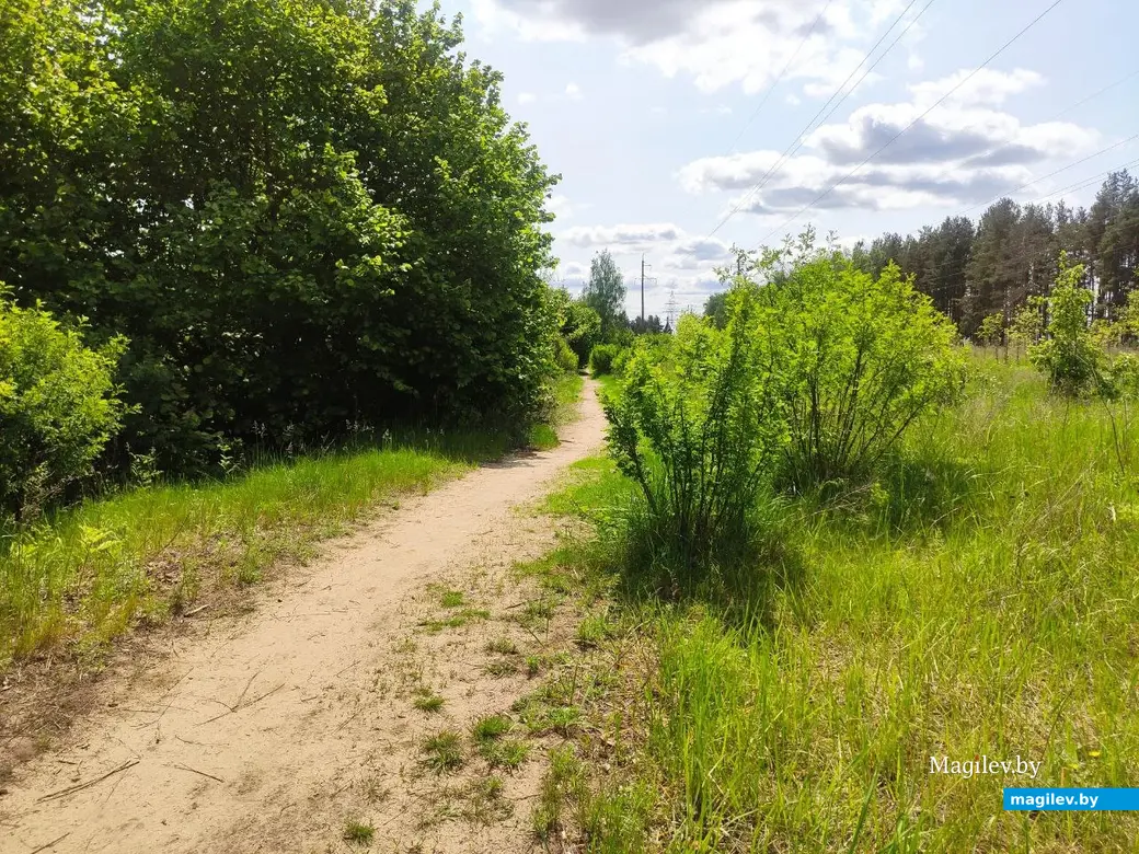 Бобруйск, 1 июня 2025 года. Первый день лета на Луковой горе.