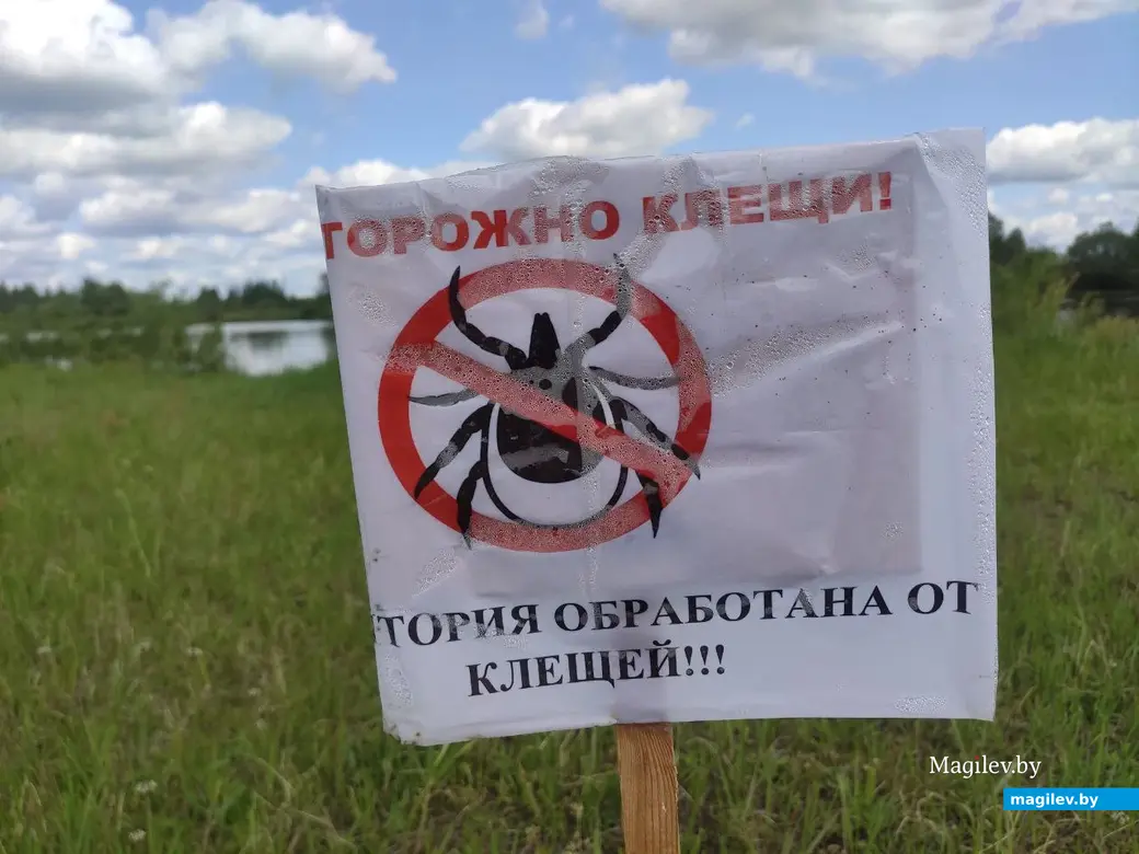 Бобруйск, 1 июня 2025 года. Первый день лета на Луковой горе.