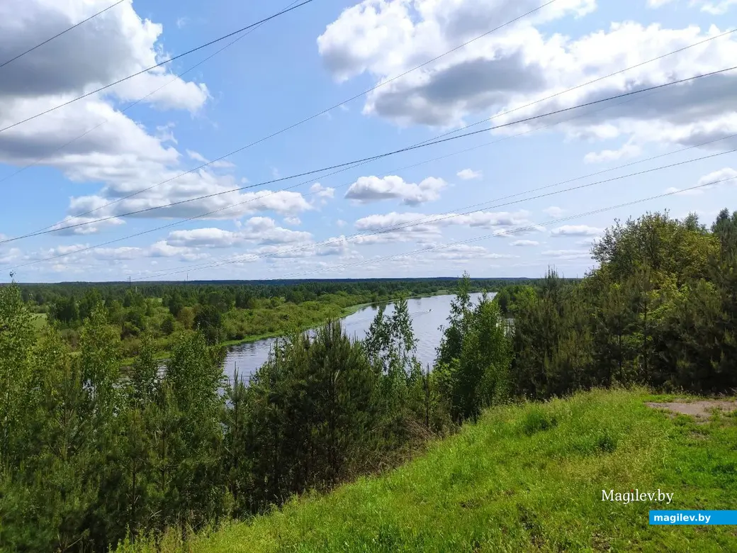 Бобруйск, 1 июня 2025 года. Первый день лета на Луковой горе.