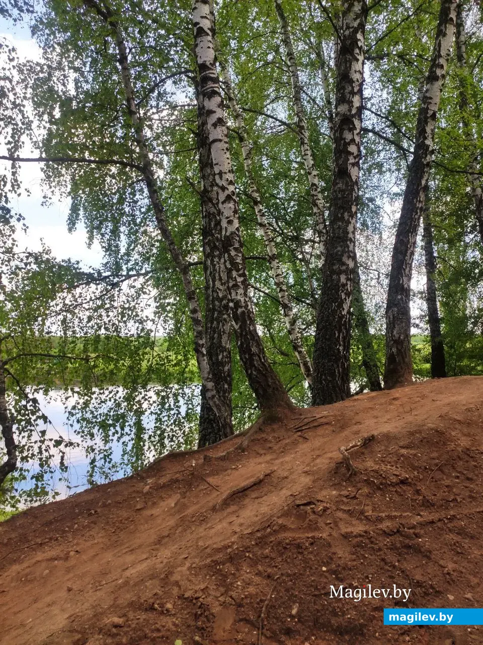 Бобруйск, 1 июня 2025 года. Первый день лета на Луковой горе.