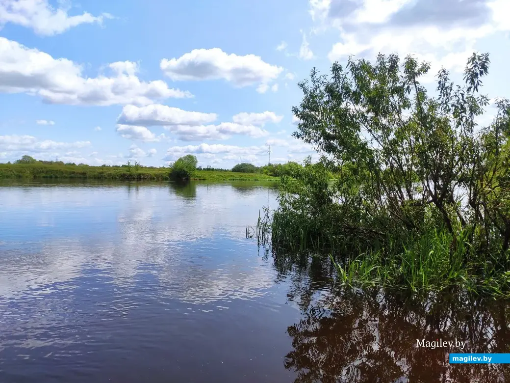 Бобруйск, 1 июня 2025 года. Первый день лета на Луковой горе.