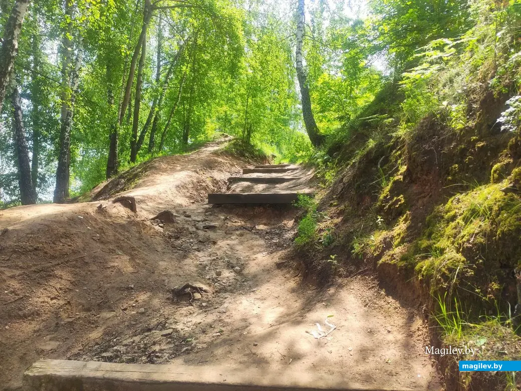 Бобруйск, 1 июня 2025 года. Первый день лета на Луковой горе.