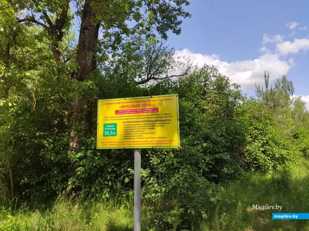 Бобруйск, 1 июня 2025 года. Первый день лета на Луковой горе.