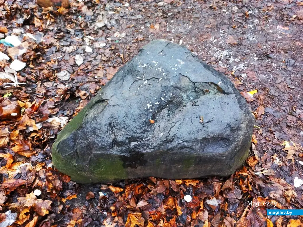 Декабрь 2024 г., Могилев, овраг Дубровенки. А вдруг и в самом деле из космоса?