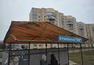 Упавшие деревья и поврежденная остановка: где на Могилевщине ветер набедокурил