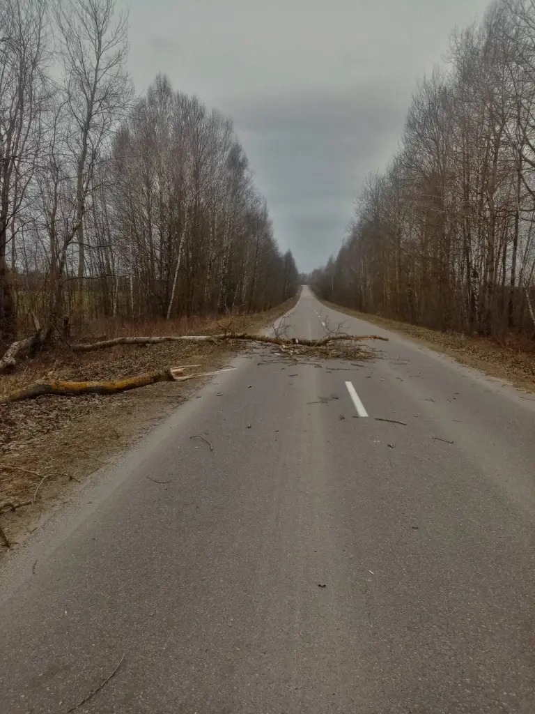2.01.2025 г. Бобруйский район. Фото: Могилевское областное УМЧС
