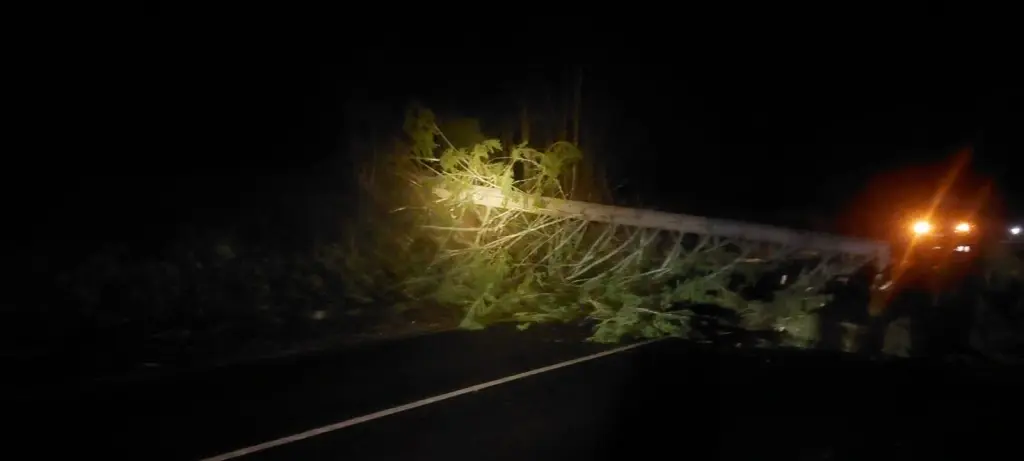 2.01.2025 г. Быховский район. Фото: Могилевское областное УМЧС