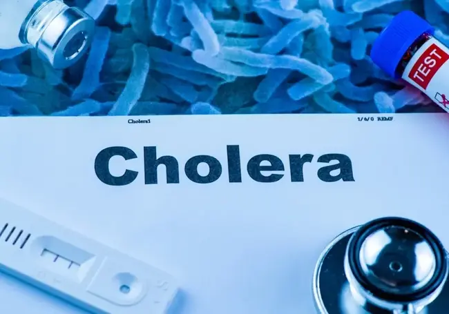 В Зимбабве зафиксировали очередную вспышку холеры