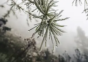 Температурные рекорды в Турции: столбики термометра опустились ниже -33°С