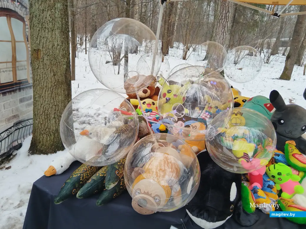 07.01.2025 г. Могилев, Печерский лесопарк. Народный праздник "Пайшла Каляда калядуючы".