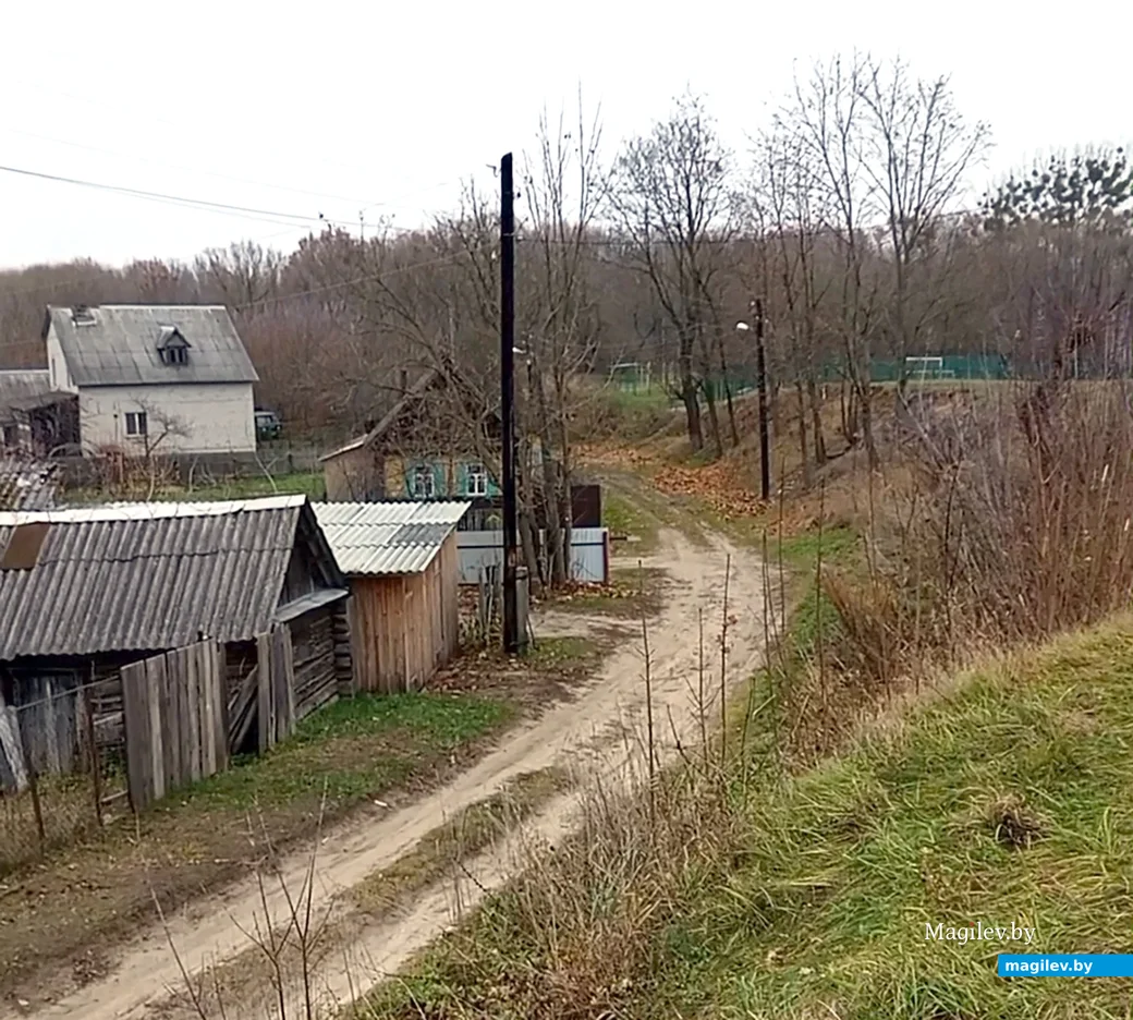 Ноябрь 2024 года. Глуск. Переулок Речной с высоты вала Глусского замка.