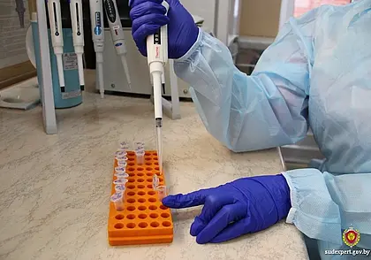 Могилевчанин усомнился в родстве четырех детей: экспертиза ДНК подтвердила его подозрения