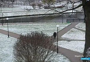 Мокрый снег, гололедица, небольшой мороз: какую погоду ждать сегодня в Могилеве