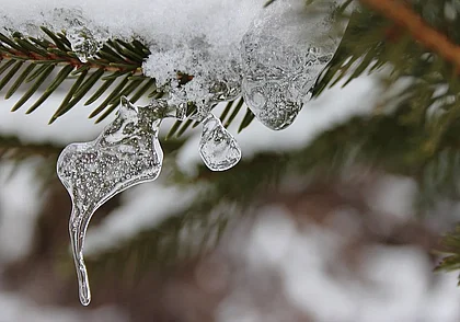 Туман, гололед и снег с дождем прогнозируются сегодня в Беларуси