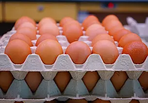 Больше всего куриных яиц в Россию поставляет Беларусь