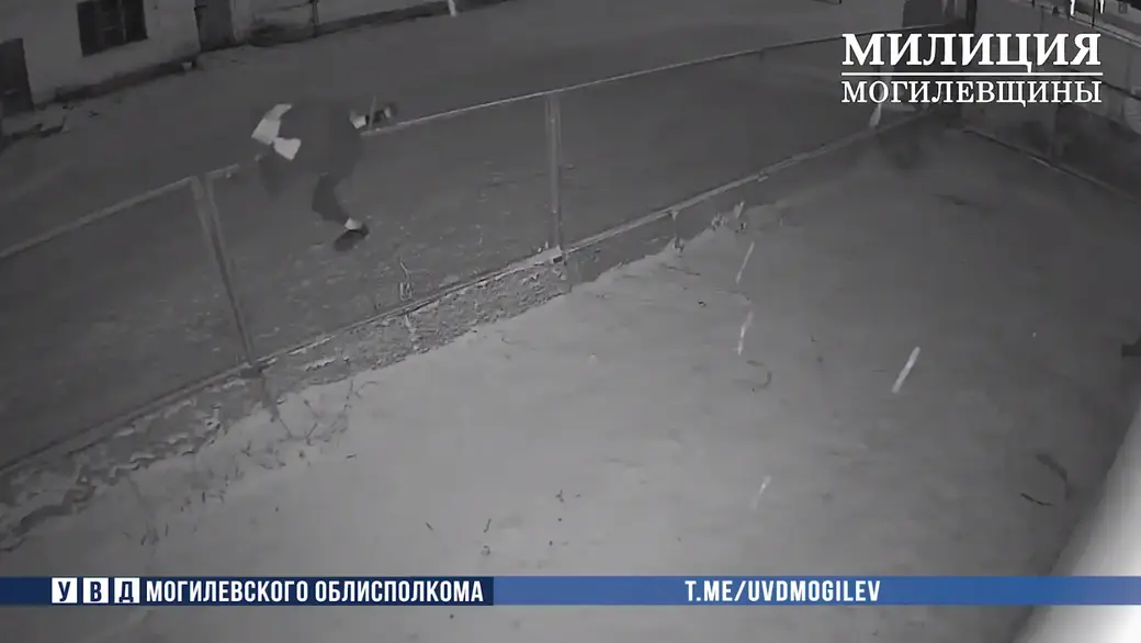 Фото: УВД Могоблисполкома