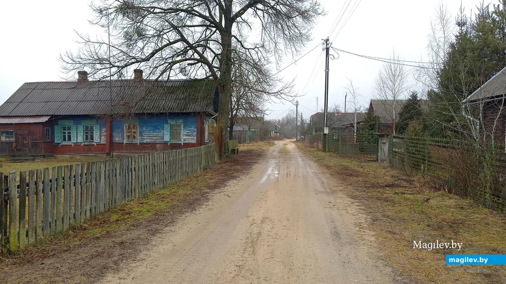 Январь 2025 года. Деревня Жолвинец, Глусский район. Улица на которой живут супруги Скрипуновы.