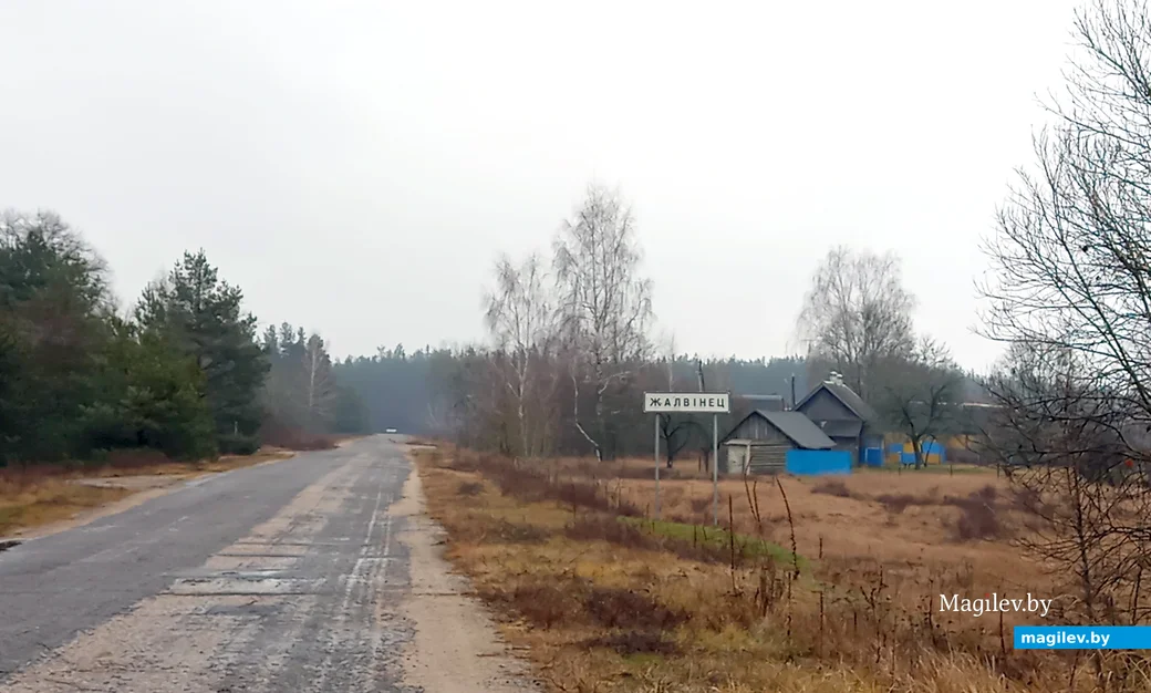 Январь 2025 года. Глусский район, деревня Жолвинец.