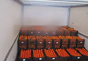 Российская таможня не пропустила в Беларусь 4 тонн хурмы и мандаринов