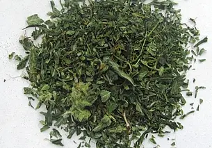 Страсть к «ботанике» подвела жителя Горок под уголовную статью