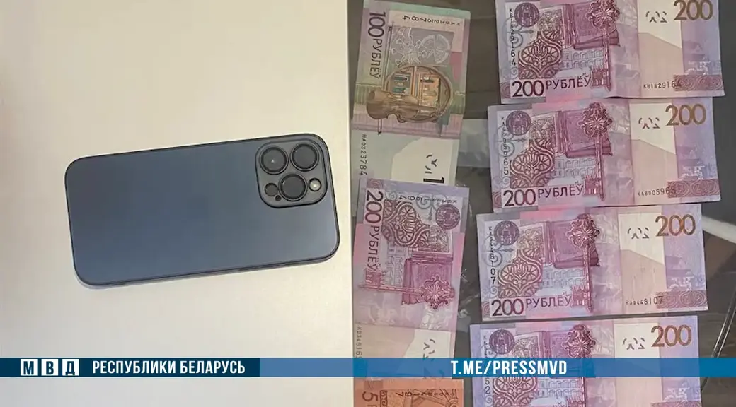 Могилевские правоохранители не дали трафикерше вывезти девушку за границу. Фото: МВД РБ