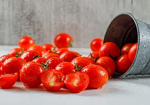 Какой сорт томатов выбрать, чтобы собирать урожай ведрами: и это с одного куста