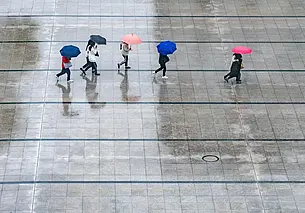 Мокрый снег, облачно, но не морозно: какую погоду ждать сегодня днем в Могилеве