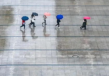 Мокрый снег, облачно, но не морозно: какую погоду ждать сегодня днем в Могилеве