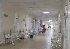В Могилеве в нынешнем аномально теплом январе зарегистрировано обращение за медпомощью из-за укуса клеща