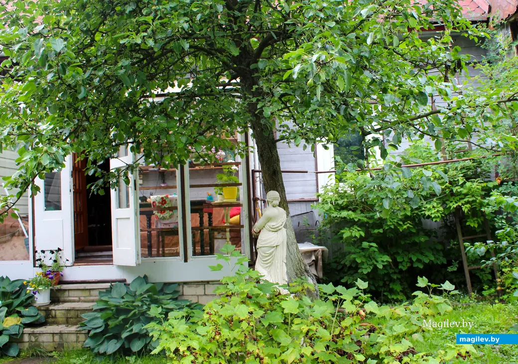 Лето 2024 года. Могилев. Внутренний дворик дома №20 по улице Карпинского.