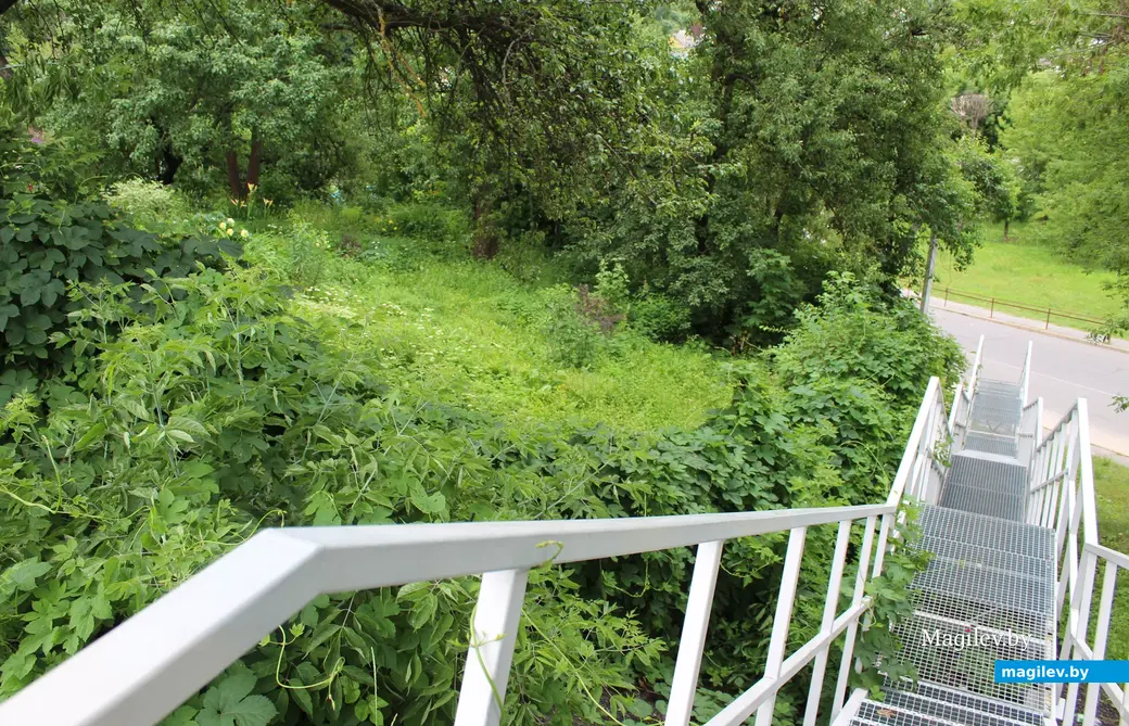 Лето 2024 года. Могилев. Спуск к Подниколью с улицы Карпинского.