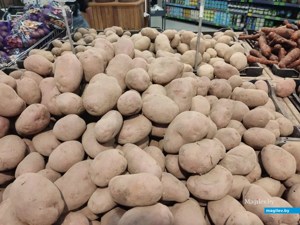 Фото из архива редакции. Носит иллюстративный характер