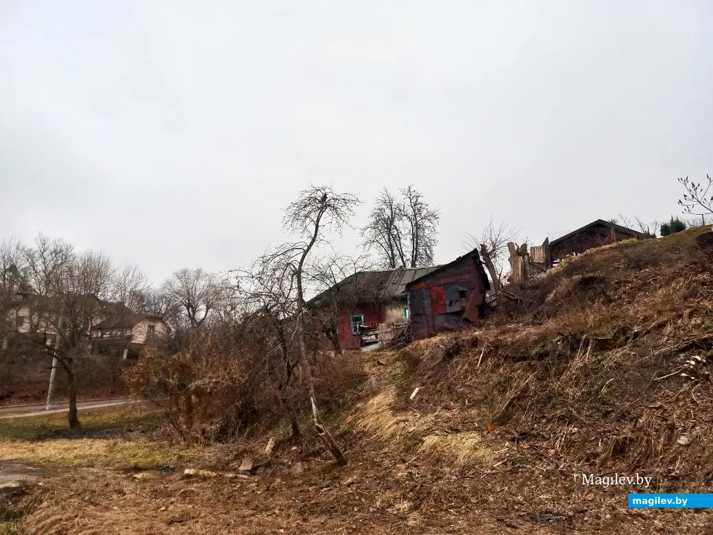 22.01.2025. Могилев, Левая Дубровенка.