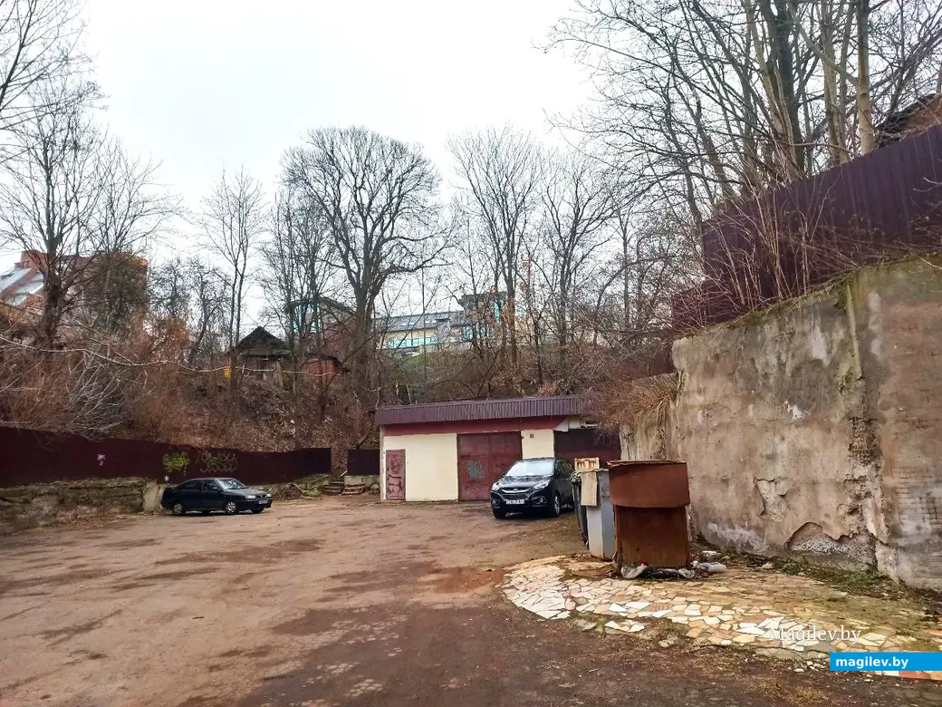 22.01.2025. Могилев, Левая Дубровенка.