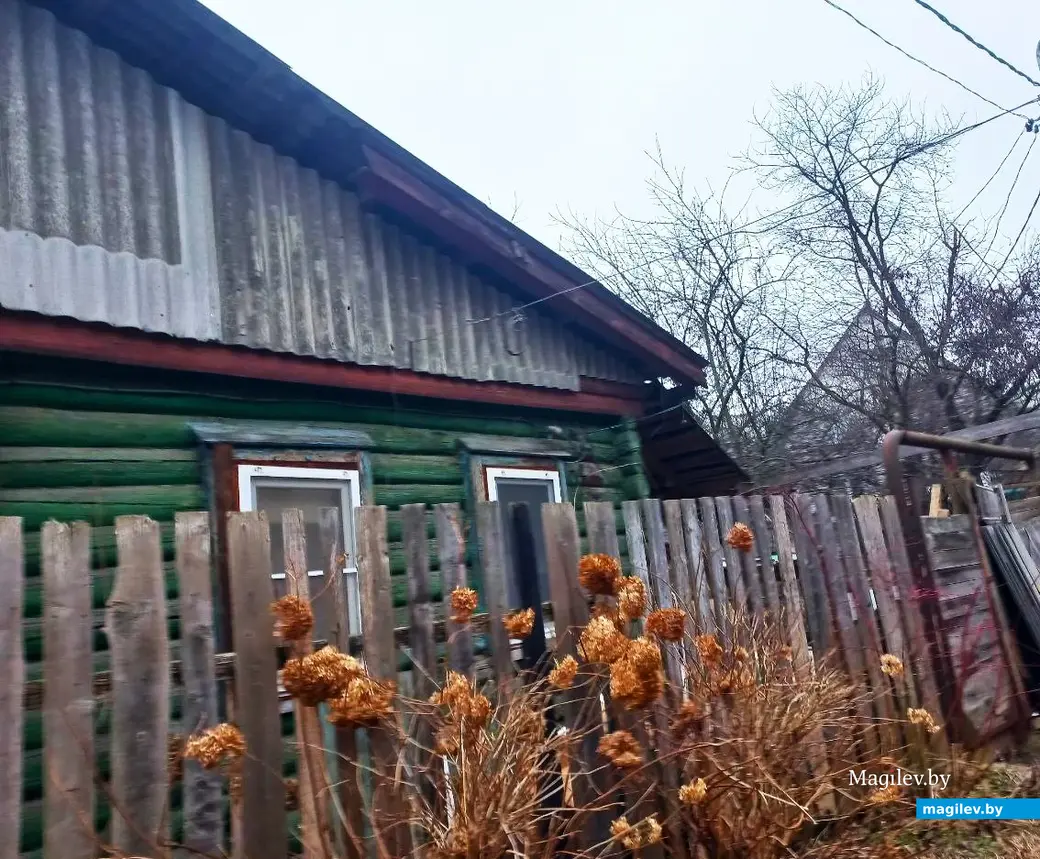 22.01.2025. Могилев, Левая Дубровенка.