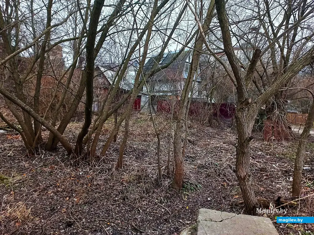 22.01.2025. Могилев, Левая Дубровенка.