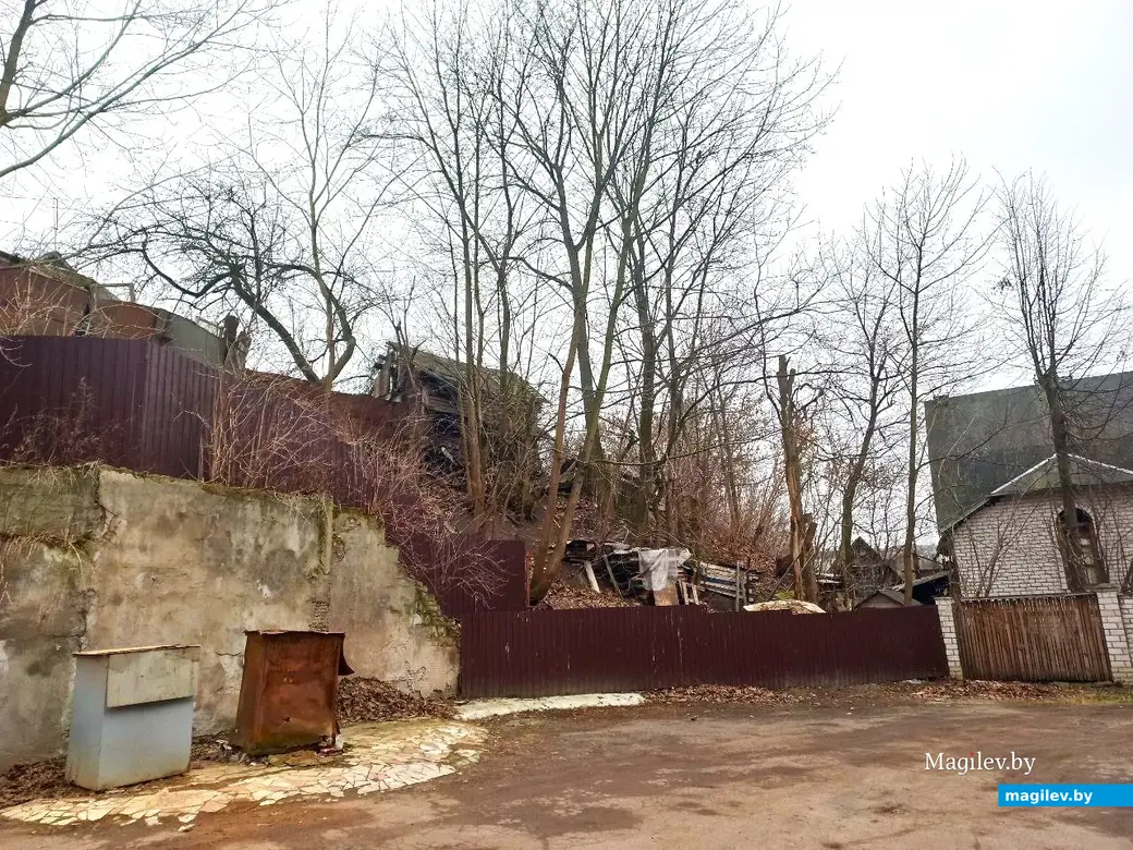22.01.2025. Могилев, Левая Дубровенка.